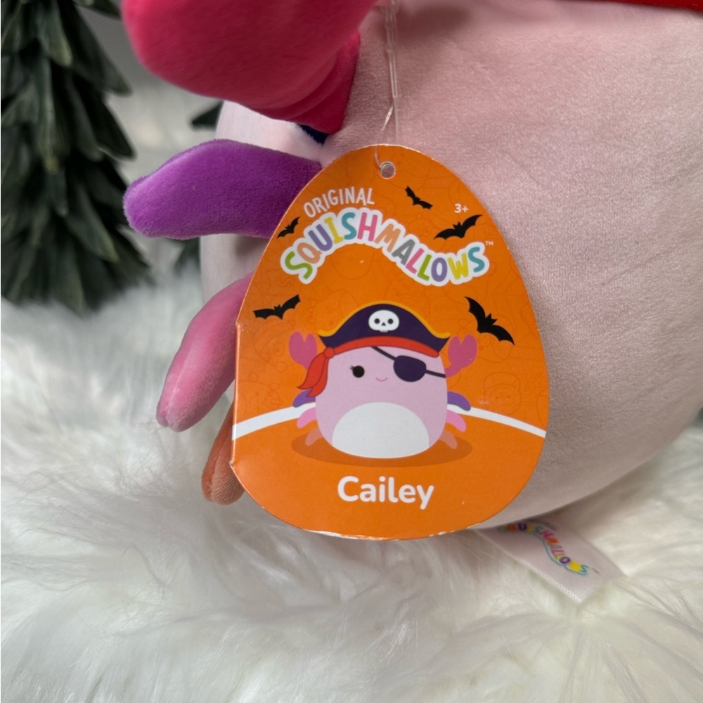 Halloween Cailey, The Crab Pirate, Squishmallow, NWT, 10in - Picture 2 of 5